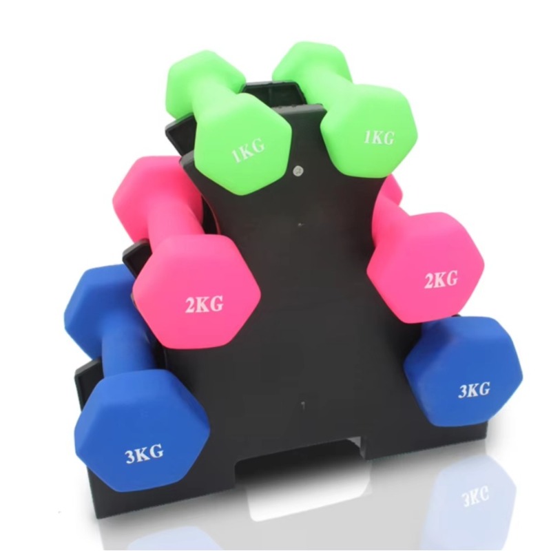 Home Gym Training - Suporte de Armazenamento de Halteres de