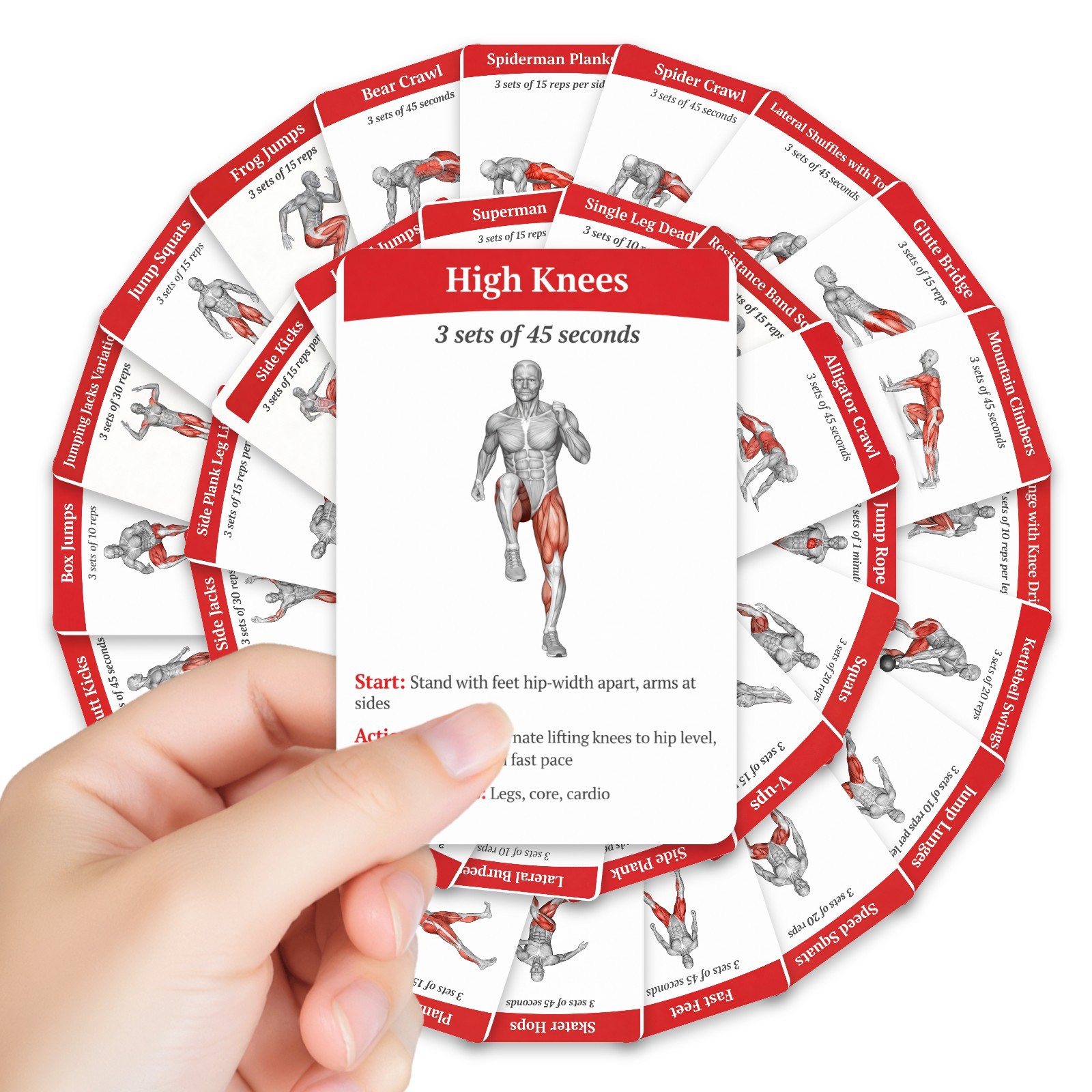Home Gym Needs - 36 cartões guia de treino para