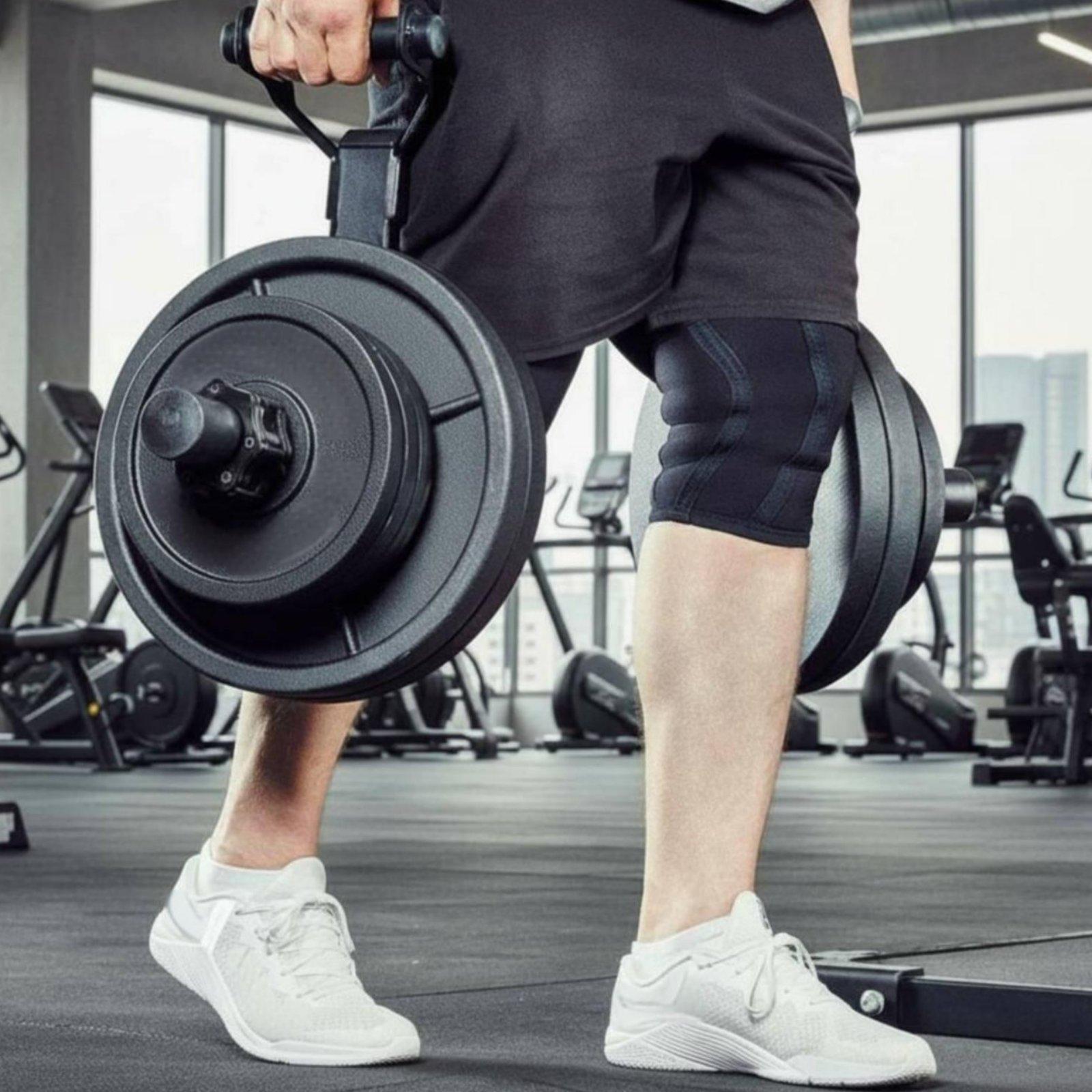 Suporte Organizador de Anilhas - Home Gym Training avaliação e preço