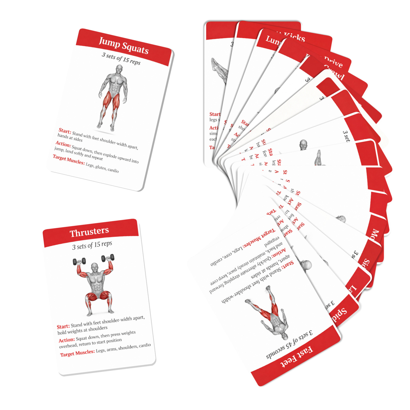 36 cartões guia de treino para - Home Gym Needs avaliação e preço